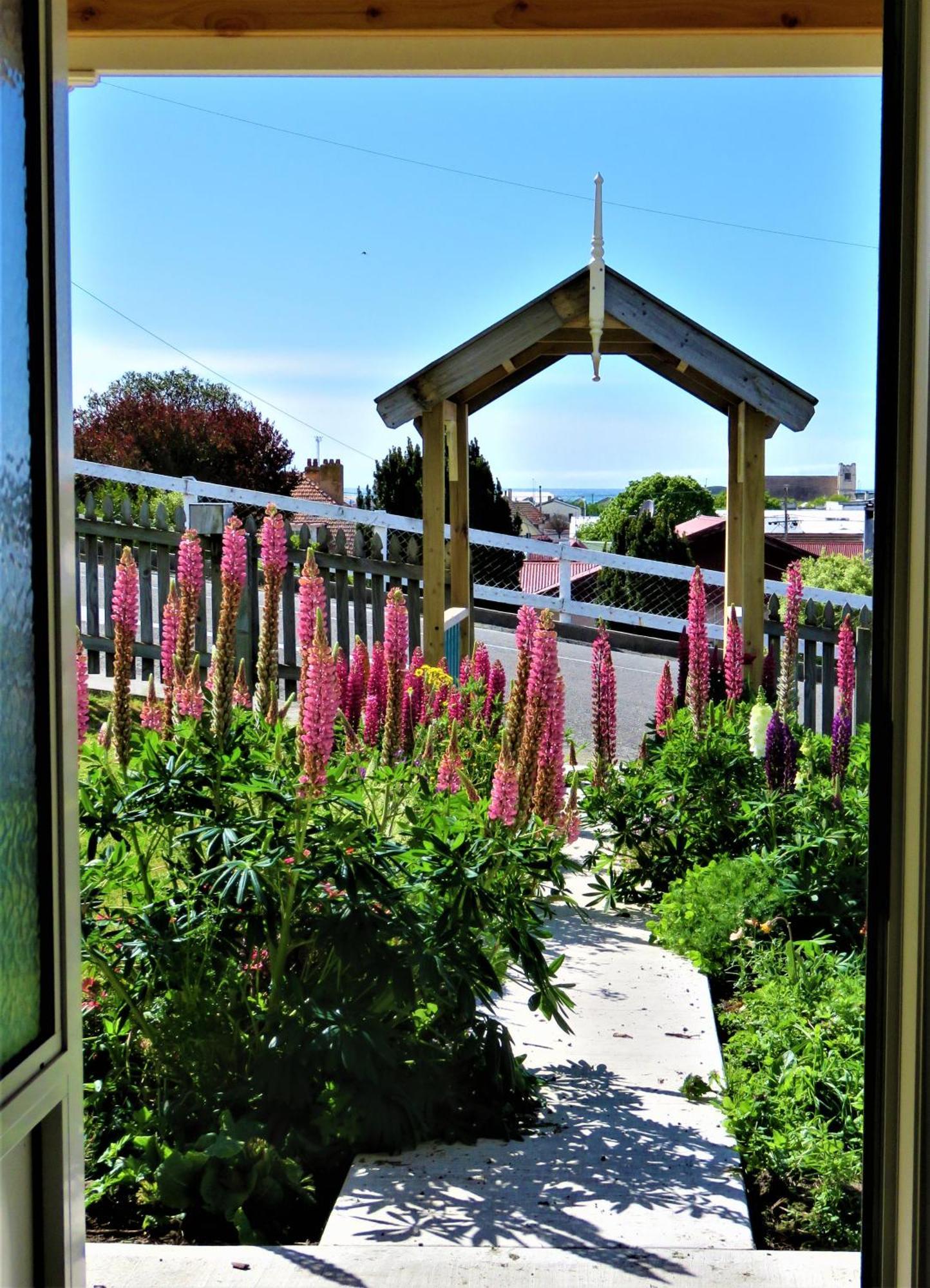 Fantail Cottage أومارا المظهر الخارجي الصورة